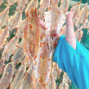 Exportador de Pescado Lagarto Seco Premium en Forma de Mariposa, Pescado Lagarto Seco en Forma de Mariposa, 200 gramos, Vietnam ANGLE - Product Image 1