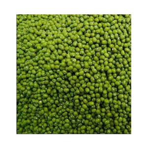 Wholesale Supplier Of Bulk Fresh Stock of Green Mung <b>Beans</b> / Whole Moong <b>Beans</b> - Product Image 4