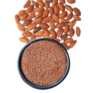 Cresson | Soutient la digestion | Frais et naturellement cultivés - Product Image 5