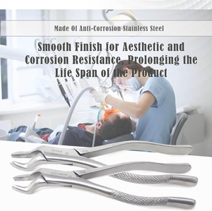 Fórceps de Extracción Dental MEDIVA ESSENCE OEM de Alta Calidad, Fabricados en Acero de Clase I con Certificación CE, Agarre Ergonómico, Logotipo Personalizado de Fábrica - Product Image 5