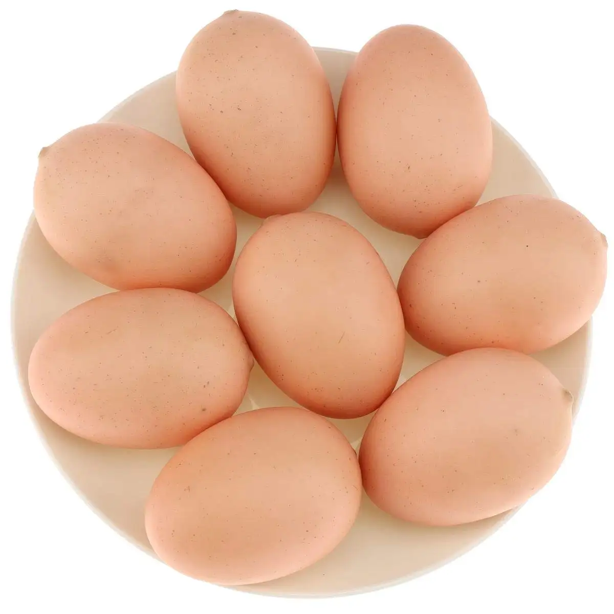 Taze organik beyaz tavuk yumurtası rekabetçi fiyat toptan brezilya çiftlik taze tavuk yumurta