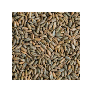 Roggekorrel Voor Dierlijke En Menselijke Voeding Van Biologische Tarwekorrels/Biologische Producten Gecertificeerde Biologische Roggebessen | 5 Pond Volkoren Tarwekorrel - Product Image 3