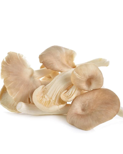 ผู้ผลิตขิงแห้งเวียดนาม ราคาโรงงานโดยตรง - Product Image 2