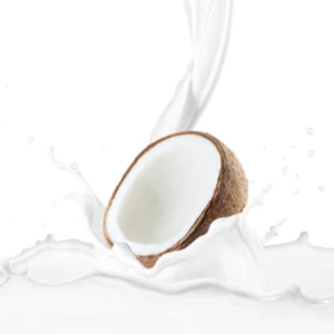 Lait de coco en conserve Vietnam | Ingrédient de cuisine | Utilisation de dessert et de gelée - Product Image 1