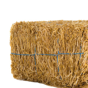 หญ้าชนิตแบบเม็ดหญ้าอัลฟัลฟ่าธรรมชาติสำหรับสุนัขปลาหมูม้าขายส่ง - Product Image 2