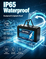 Batterie LiFePO4 200Ah 12,8V, batterie lithium rechargeable, batterie marine à décharge profonde 12V pour yacht, solaire hors réseau