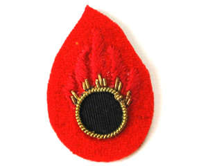 Hand-Made Custom Badges From Pakistan Good Quality Golden Wire Embroidery <b>Sew</b>-On Uniform Accessories With Bullion Wire Work - Product Image 5