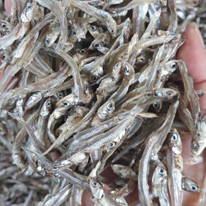 Anchois séchés du Vietnam sans vapeur exploités dans la zone du Viet Nam taille 3-5 et 5-7 WA84972678053 - Product Image 4