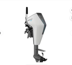 Kit moteur hors-bord Avatorr 7.5e Tiller, arbre de 15 pouces, à vendre - Product Image 2