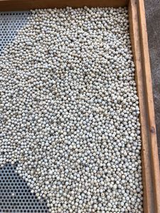 Venta caliente de alta calidad Vietnam pimienta blanca 630G/L doble lavado superior 3 procesamiento crudo seco excelente precio para todos los mercados - Product Image 3