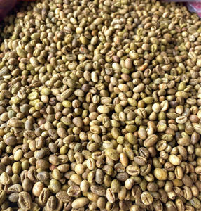 HANCOFFEE Vietnam, Nuevas Granos de Café Verde Arábica - El Mejor Precio Más Bajo - Grado 3, Granos de Café Crudo Sin Tostar - Product Image 1