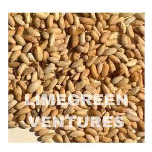 High Quality Neem Seeds Azadirachta Indica Oil Extraction Bulk Supply <b>Pest</b> <b>Control</b> Exporter 12 Months Shelf Life Limegreen - Product Image 6