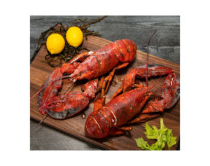 Homards de roche congelés frais de la plus haute qualité d'exportation Homards crus et vivants avec parties entières et queue Styles cuits séchés en boîte - Product Image 4