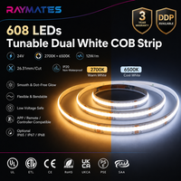 Bande LED COB Raymates ultra-étroite 5 mm CCT réglable haute densité 2700K+6500K 24V dimmable pour plafond haut