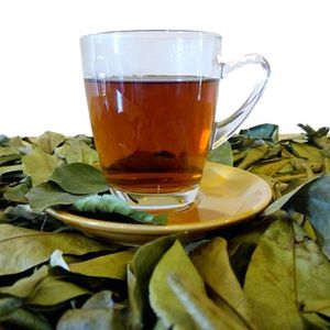 Feuilles de corossol entières vertes naturelles séchées biologiques pures de qualité supérieure pour tisane - Product Image 1