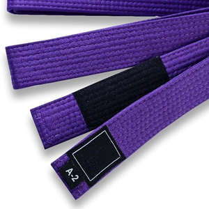 ส่งเสริมการขายเข็มขัด BJJ GI ปักชื่อและโลโก้ส่วนตัวผ้าฝ้าย100% unisex ศิลปะการต่อสู้ชุดอุปกรณ์เสริม - Product Image 6