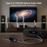 Veste tresse PVC optique câble Audio USB-C Toslink adaptateur pour téléphone portable ordinateur 1080p pour HDTV moniteur lecteur DVD