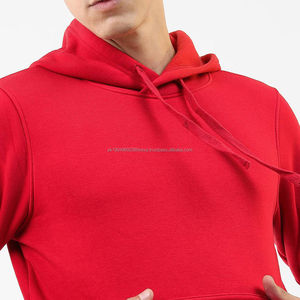 Sweat à capuche avec logo personnalisé, motif uni artisanal, hiver, maintenant à prix avantageux, impression fine, édition personnalisée - Product Image 3