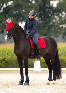 Almohadillas de Silla de Montar Acolchadas de Algodón de Alta Calidad para Mujer, Cómodas y Transpirables, Suministro al por Mayor - Product Image 3