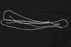 โรงงานขายส่งเส้นวุ้นเส้นแห้ง นhat ฮวง แบบ OEM/รับผลิตแบรนด์ส่วนตัว 300 กรัม ปรุงเร็ว ปราศจากกลูเตน เนื้อเนียน - Product Image 5