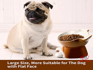 Tazón de plástico para mascotas con forma de perro, respetuoso con el medio ambiente, fabricante OEM, para uso en interiores pequeños, precios al por mayor para gatos - Product Image 4