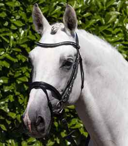 Bridon de cheval en cuir de luxe, style anglais, pour dressage, saut d'obstacles, équitation en plein air et entraînement, bridon d'équitation en cuir - Product Image 5