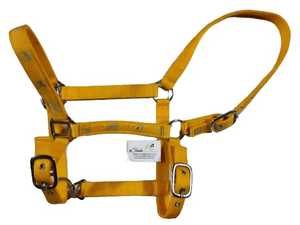 Productos ecuestres al por mayor de alta calidad, cabestro de nailon para caballos de carreras, variedad de colores disponibles, precios razonables - Product Image 3