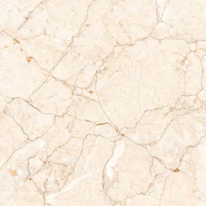 Modèle 12001 avec surface attrayante en sucre en 600x600mm Carreaux de sol en céramique colorée de qualité supérieure par Novac Ceramic India - Product Image 5