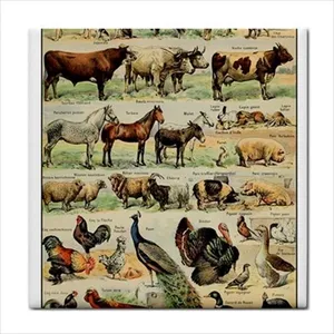 Bordure d'art de bétail d'animaux de ferme de style vintage pour accessoire de carrelage artisanal en céramique pour dosseret - Product Image 1