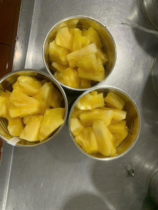 Tranches et morceaux d'ananas en conserve de qualité supérieure, naturels, dans un sirop léger - Product Image 1