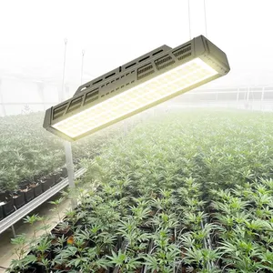 LED horticultura iluminação Full Spectrum 800W LED Crescer Luz para High Bay Green House Plantas Full Spectrum 2.6umol/J