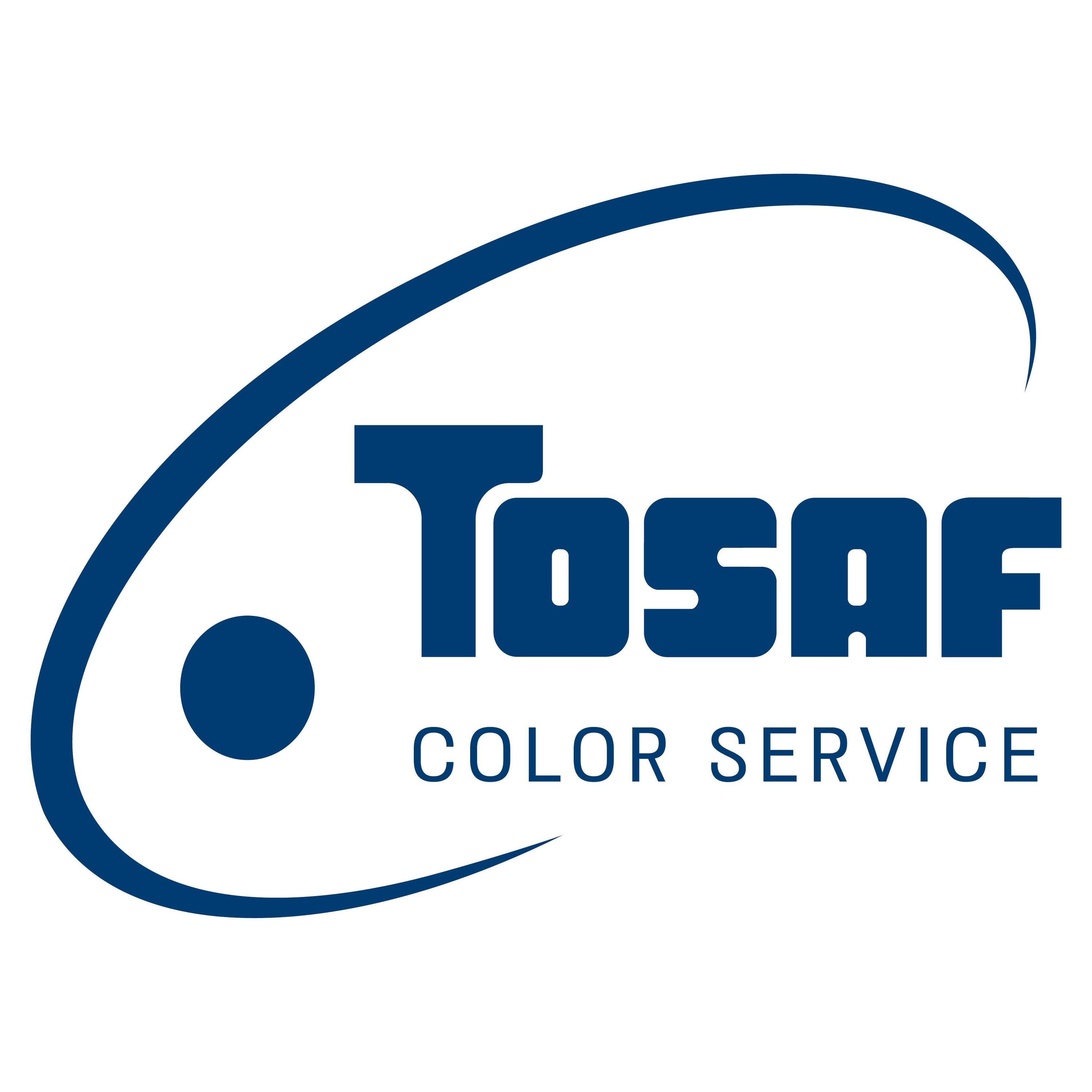 Color Service GmbH & Co. KG logo