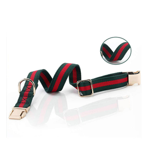 Collar para Perro con Asa, Ajustable, Diseño de Cinta de Nylon, para Perros Medianos a Grandes, Entrenamiento Canino - Product Image 3