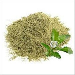 Extracto de Cissus Quadrangularis en Polvo Amarillo de Alta Calidad, Extraído con Solvente, Concentración 10:1-50:1, Grado Alimenticio, Parte de Raíz Utilizada - Product Image 1