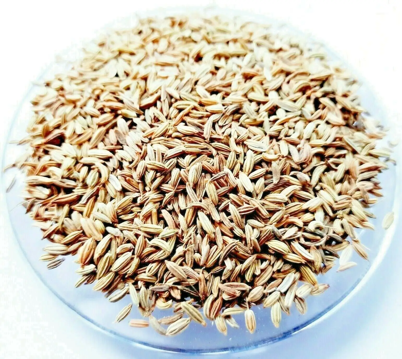 Chất lượng cao tự nhiên màu xanh lá cây thì là hạt giống duy nhất gia vị sản xuất tại Ấn Độ ngọt ngào và cho Đinh Hương Quế Hạt tiêu đen