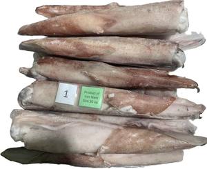 Loligo calmar congelé en vrac rond entier IQF/BQF sauvage pris sous vide Pack Vietnam - Product Image 2