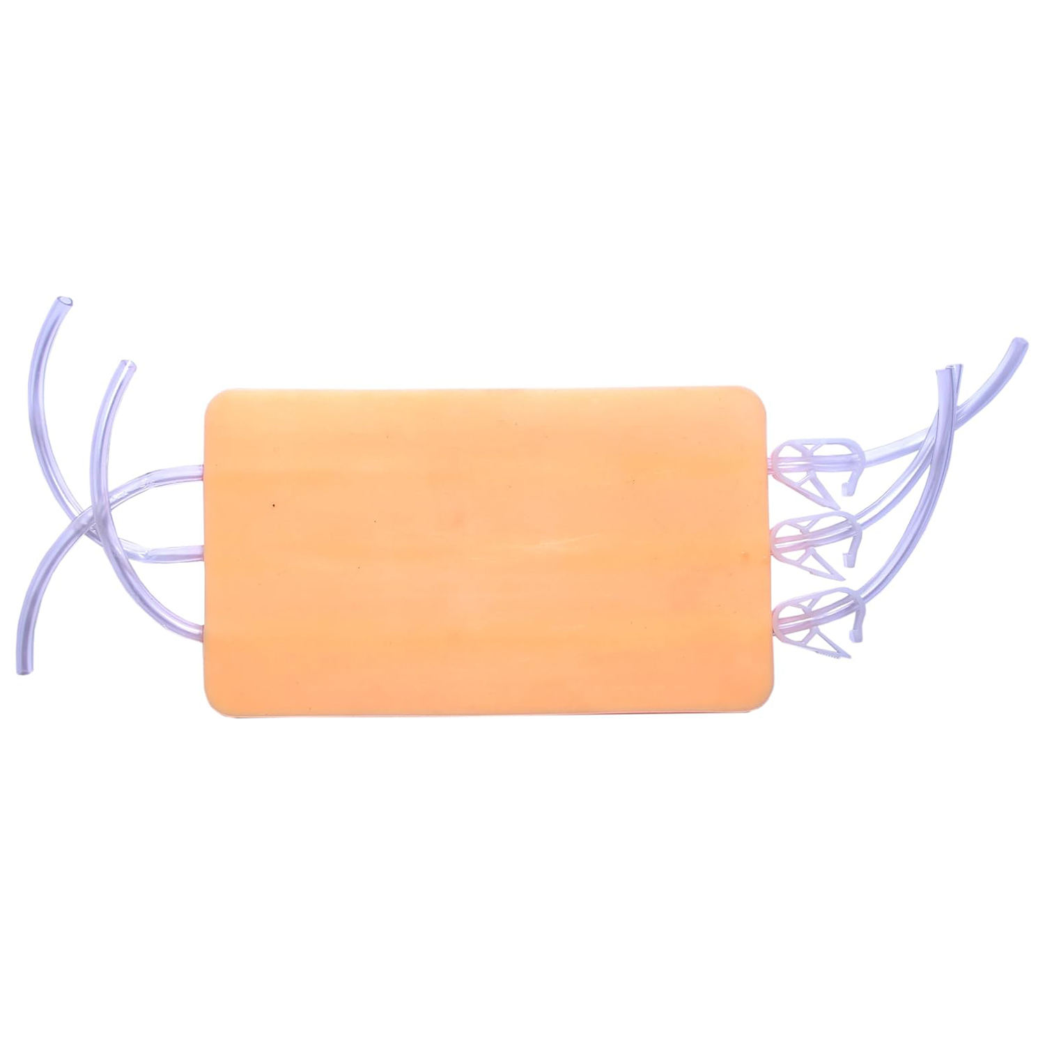 Couleur de la peau humaine