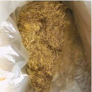 CPU Ceramic Pentium Pro, CHATARRAS DE PROCESADOR DE CERÁMICA DE CPU, CHATARRA DE RAM - Product Image 5