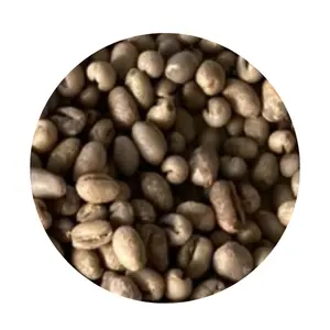阿拉比卡卡蒂莫优质咖啡供应商咖啡豆包装Oem服务绿色咖啡豆越南制造商