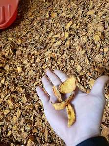 Doigt de curcuma frais de meilleure qualité Livraison rapide Processus de séchage de la plus haute qualité-Doigt de curcuma cru et séché - Product Image 6