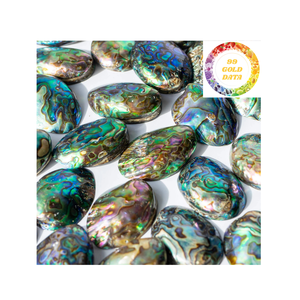 Conchas de abulón de océano de Vietnam para los amantes de la artesanía Calidad de grado de exportación - Product Image 6