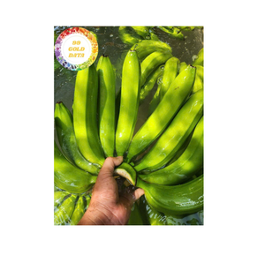 Plátano fresco fruta tropical natural de origen vietnamita ideal para supermercados consumo minorista Exportación y aplicaciones culinarias - Product Image 6