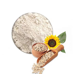 Lécithine de tournesol en poudre de qualité supérieure, extrait végétal en gros, exportateur indien, idéale pour les smoothies et les compléments alimentaires nutritifs - Product Image 1