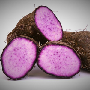 Yam morado deshidratado, producto nutritivo, de alta calidad, venta al por mayor, de Vietnam - Product Image 1
