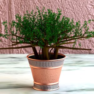 Lovable สไตล์โลหะเหล็กชาวไร่ในร่มกระถางดอกไม้สําหรับใช้งานกลางแจ้งตกแต่งสวน Handmade ที่กําหนดเองขายส่งหม้อ - Product Image 4