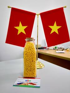 Directo Vietnam CPI Plastic Color Filler Masterbatch para productos plásticos de grado de película-+ 84 913 285 805 - Product Image 4