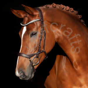 Adjustable Noseband Bridle for Horses Curved Brow Band with Wide Cut-<b>Out</b> Crownpiece and White Stones Product Padded Bridle - Product Image 2