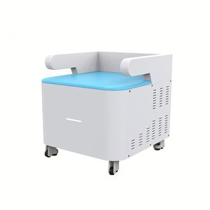 Instrumento Electromagnético de Belleza para Reparación Muscular, Reafirmación y Tratamiento Postparto - Product Image 1