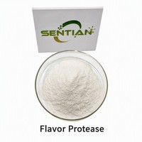 Préparation enzymatique de qualité alimentaire Flavorzyme-H pour la hydrolyse des protéines