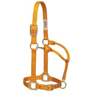 Offre Spéciale nouveau cheval course d'équitation avec cuir Durable Nylon cheval licou matériel cheval tête colliers avec matériel en métal - Product Image 3